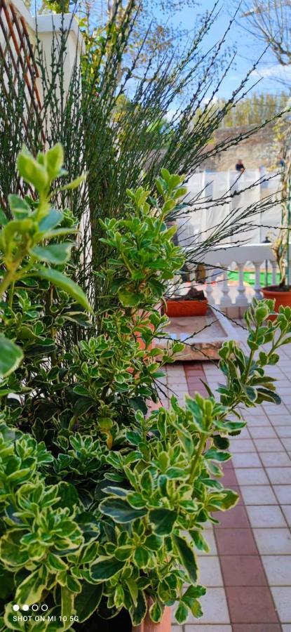 Вилла Residenza Porta Brescia Пескьера-дель-Гарда Экстерьер фото